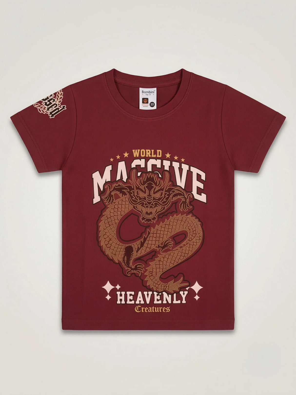 Boys Maroon Dragon Print Cotton T-Shirt