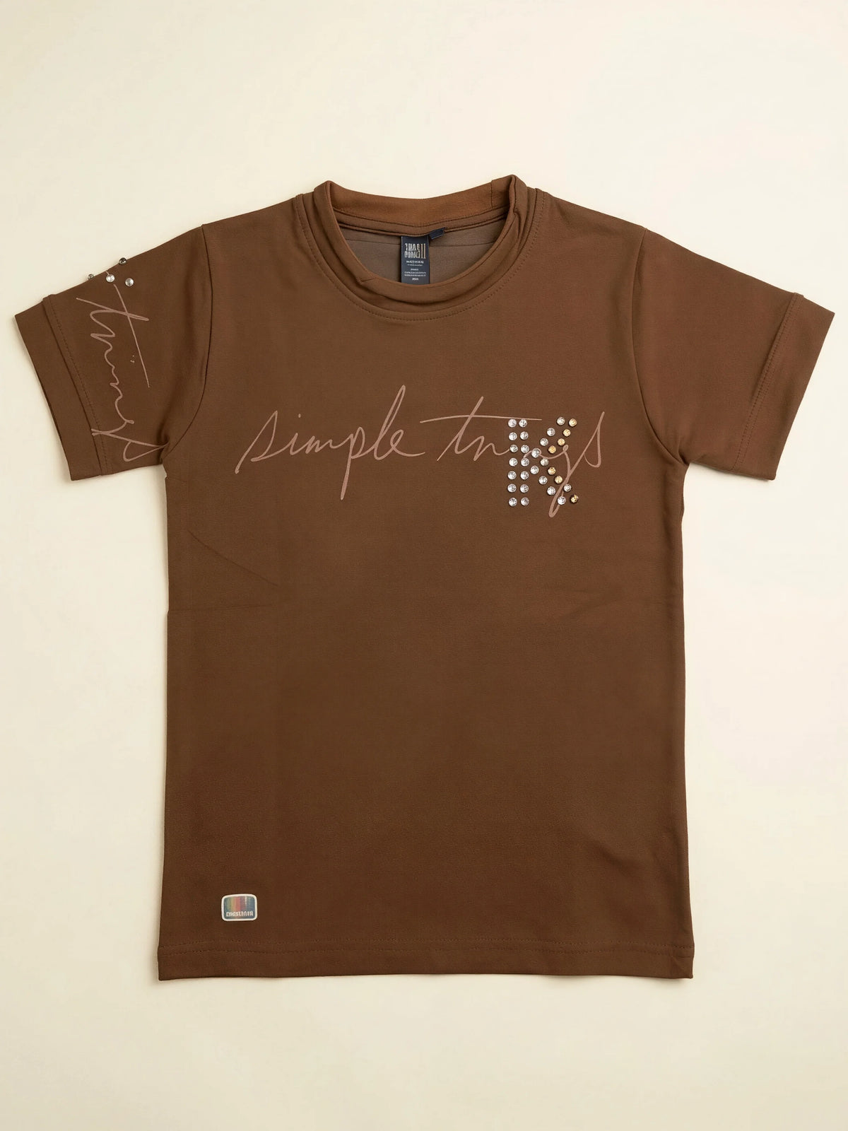 Boys Brown Graphic Printed Crew Neck T-Shirt