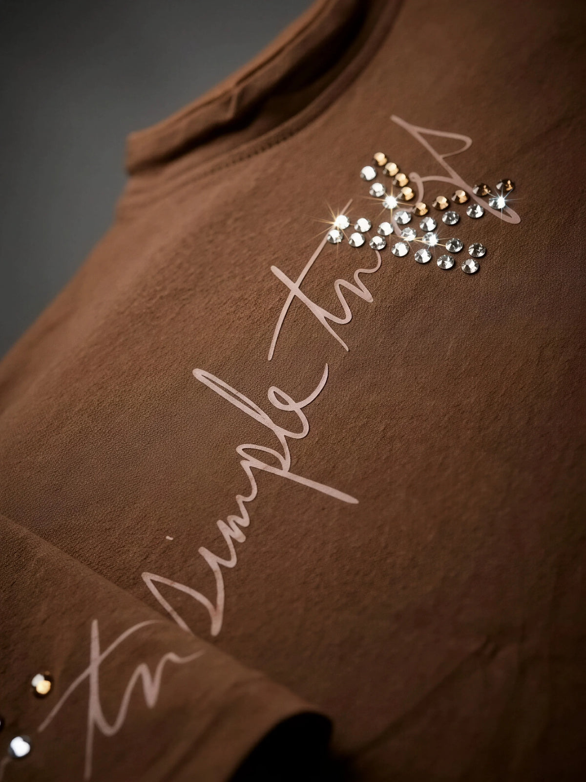 Boys Brown Graphic Printed Crew Neck T-Shirt