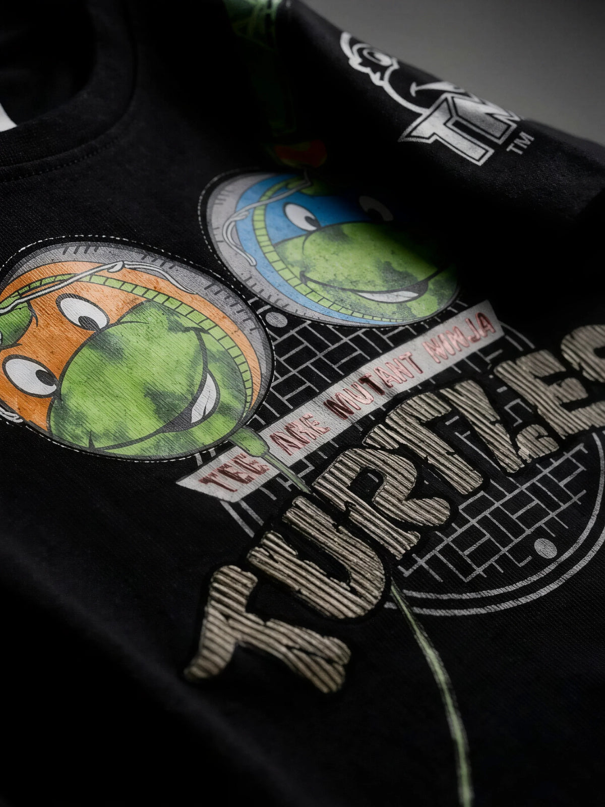 Boys Black Ninja Turtles Printed T-Shirt