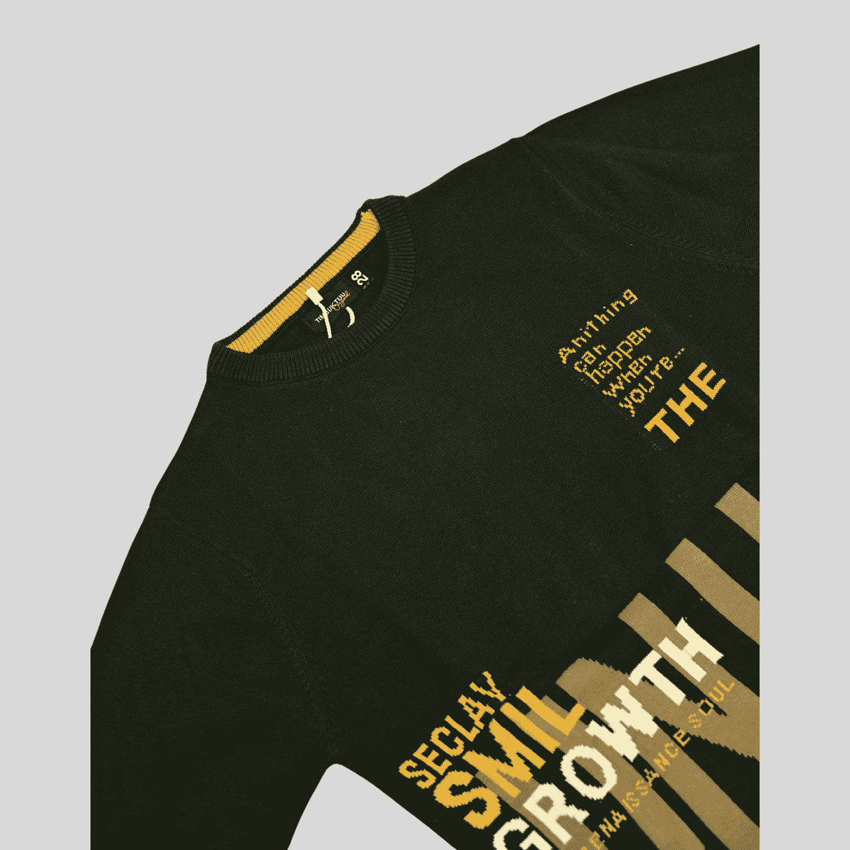 Boys Casual Full Sleeves Printed Round Neck T-Shirt - Green