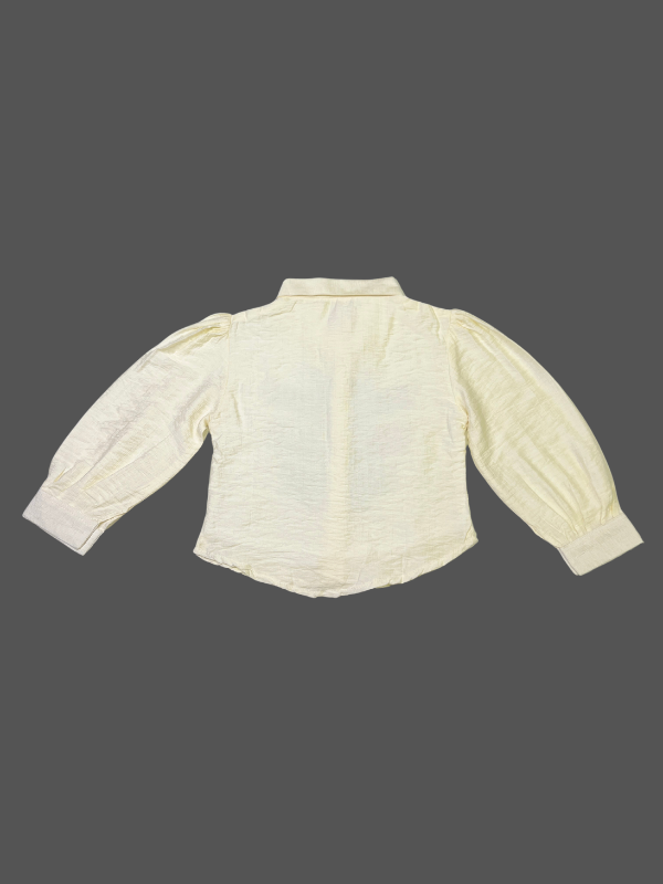 Girls' cream/ivory long-sleeved blouse with button-down front, puff sleeves, and a colorful maroon, green, and brown folk-art embroidery design on the chest.
Export to Sheets