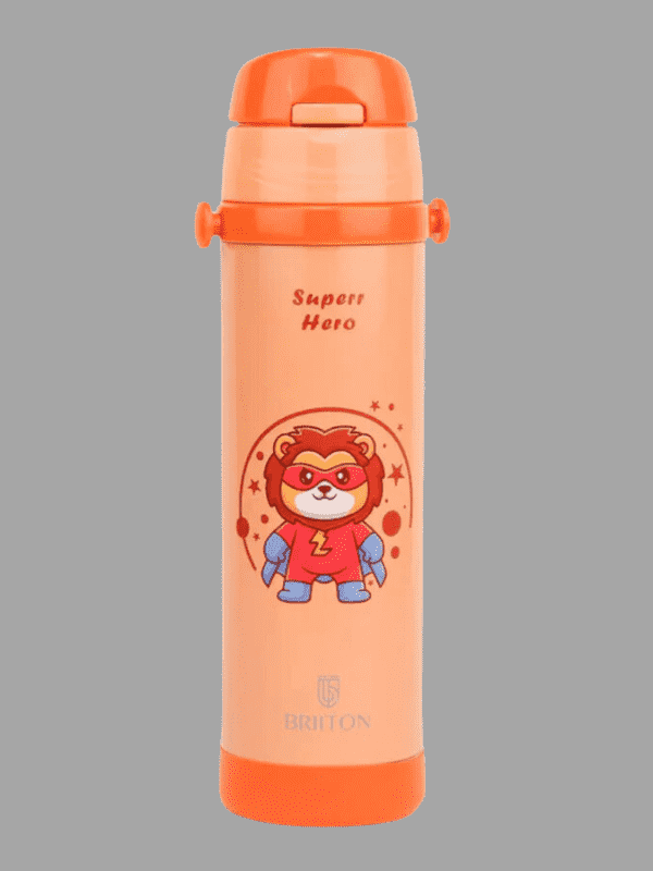 Briiton Water Bottle Ginger Steel 500 Ml Orange For Unisex.
