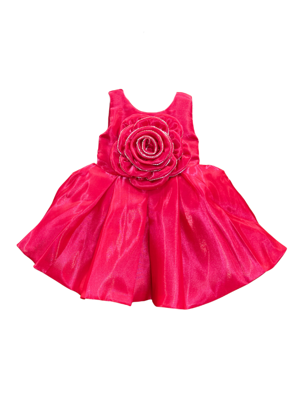 Girls' vibrant rani pink sleeveless dress with a shiny finish, featuring a large, central 3D rosette detail on the bodice and a full, flared skirt.
Export to Sheets