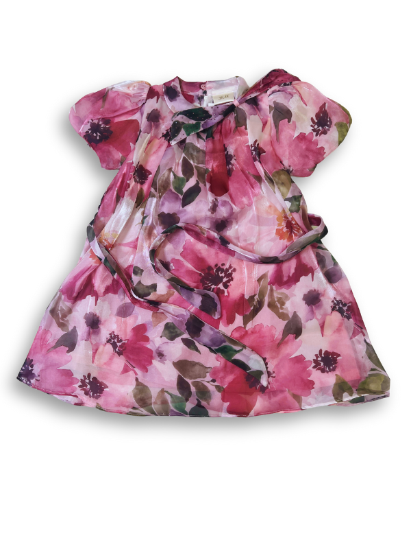 Girls' Pink Floral Sheer Organza Party Frock