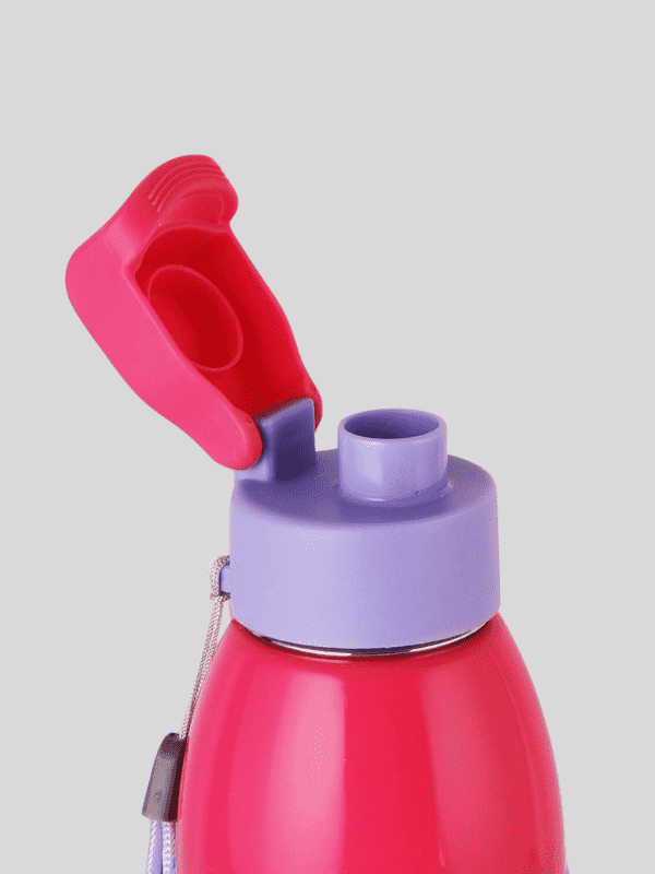 Cello Water Bottle Kidzbee Uranus Steel 600 Ml Purple For Unisex