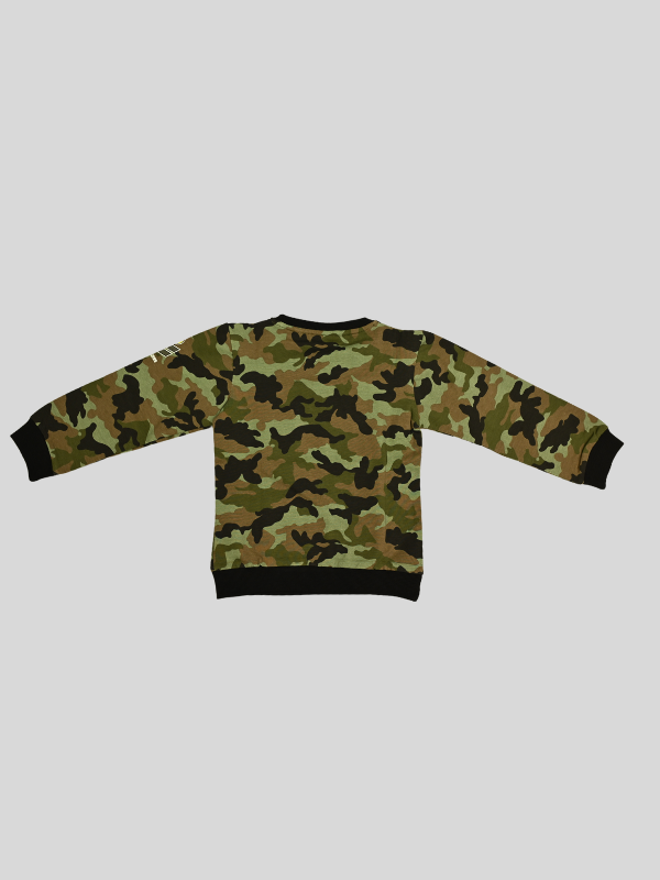 Boys Casual Full Sleeves Printed Round Neck T-Shirt - Green