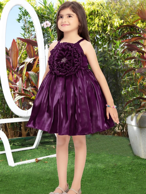 Girls Party Regular Party Frock with work - Purple