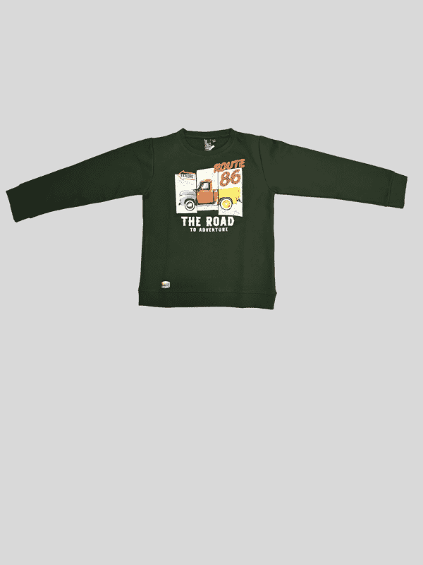 Boys Casual Half Sleeves Printed Round Neck T-Shirt - Green