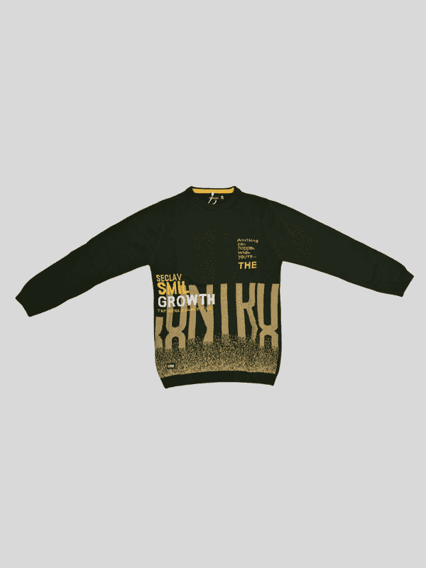 Boys Casual Full Sleeves Printed Round Neck T-Shirt - Green