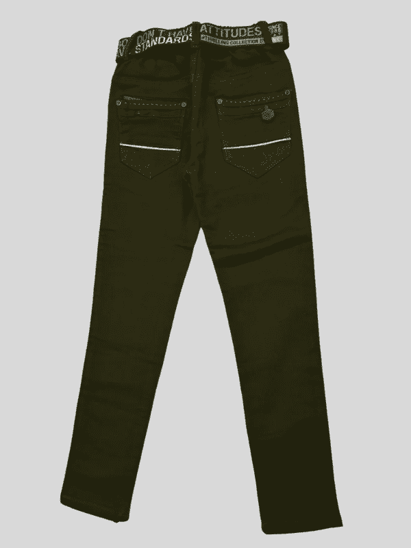 Boys Casual Stylish Pant for Boy - Green