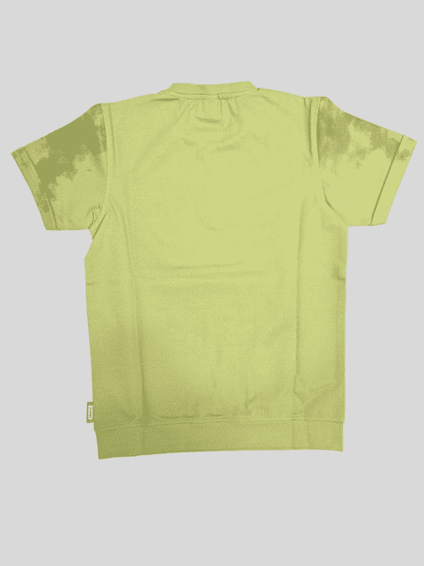 Boys Casual Half Sleeves Printed Round Neck T-Shirt - Green