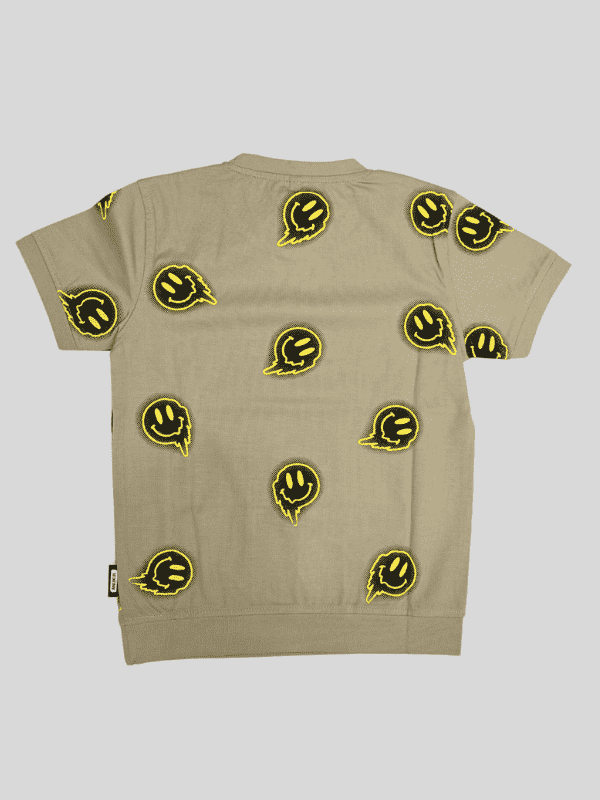 Boys Casual Half Sleeves Printed Round Neck T-Shirt - Grey