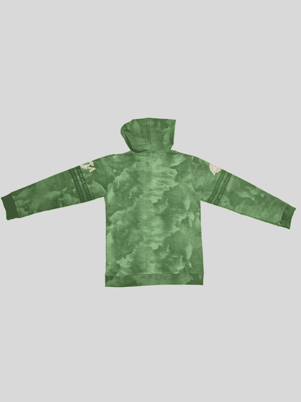 Boys Casual Full Sleeves Printed Hoodies T-Shirt - Green