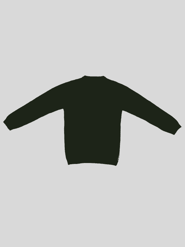 Boys Casual Full Sleeves Printed Round Neck T-Shirt - Green