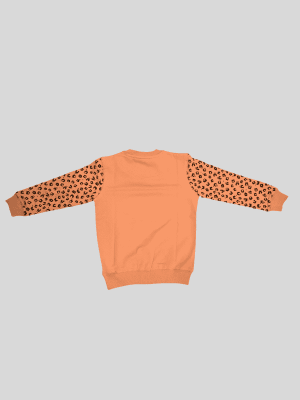 Girls Casual Printed Full Sleeves Track Pant Set - Peach