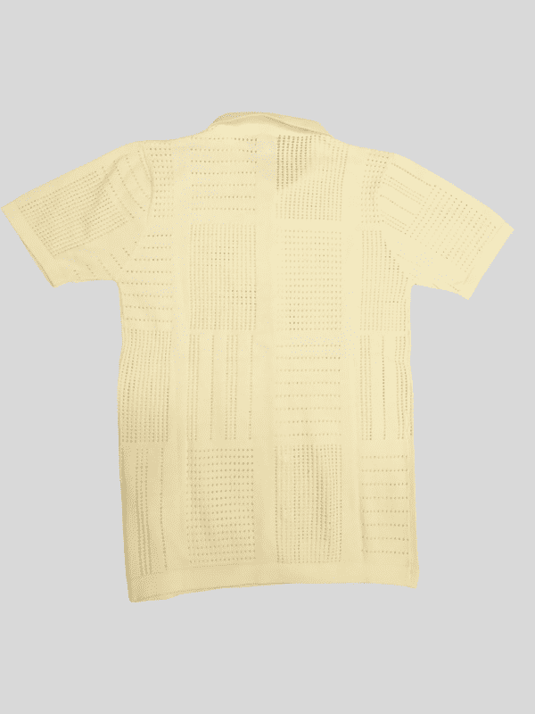 Boys Casual Half Sleeves Plain Collar T-Shirt - White