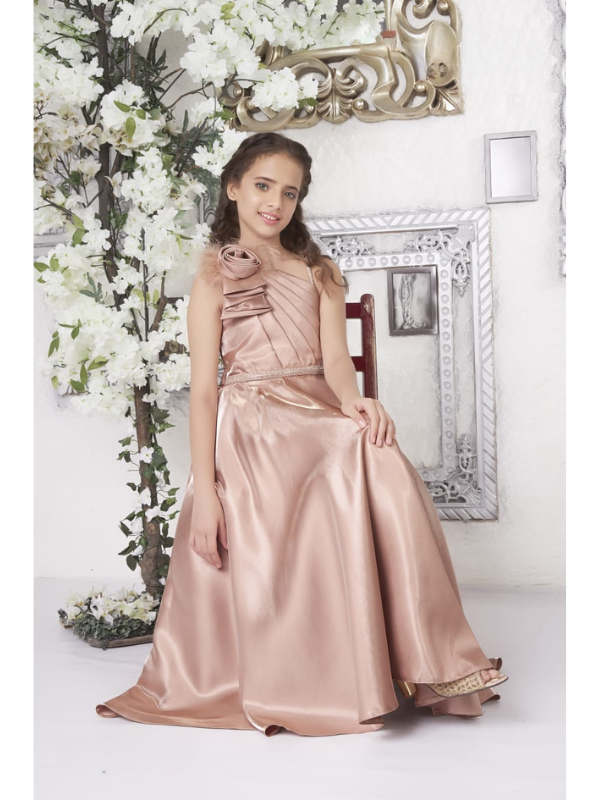 Girls Party Plain Satin Western Gown With Work - Brown