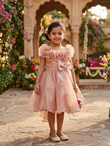 Elegant Brown Ruffle Party Frock for Girls