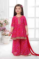 Girls' Sequin Embroidered Crop Top and Shimmering Rani Sharara Set