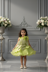 Girls' Lime Green Shimmer Rose Party Dress