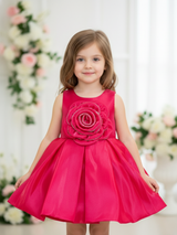 Vibrant Rani Pink Rosette Frock with Sparkle Detail.