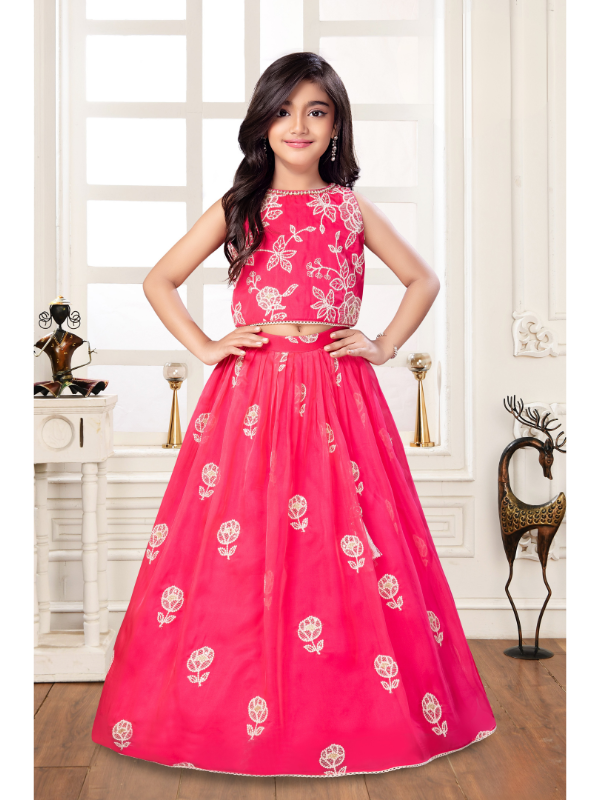 Girls Traditional Sleeves Less Long Choli - Pink