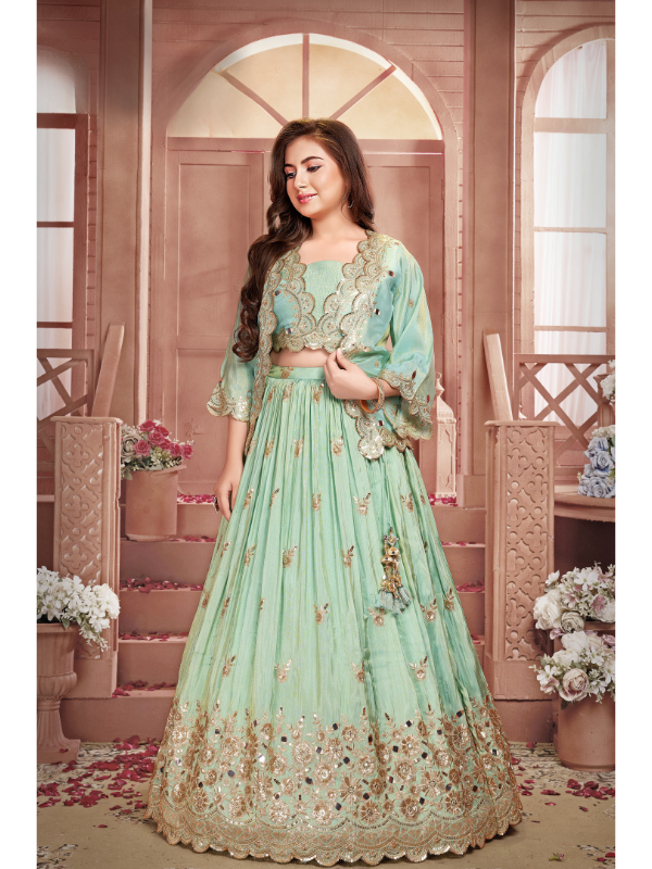 Girls Traditional Full Sleeves Long Choli - Blue