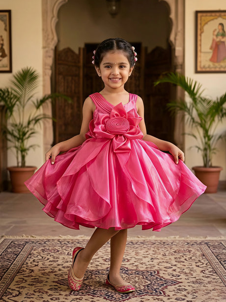 Girls Rani Pink Floral Appliqué Party Frock