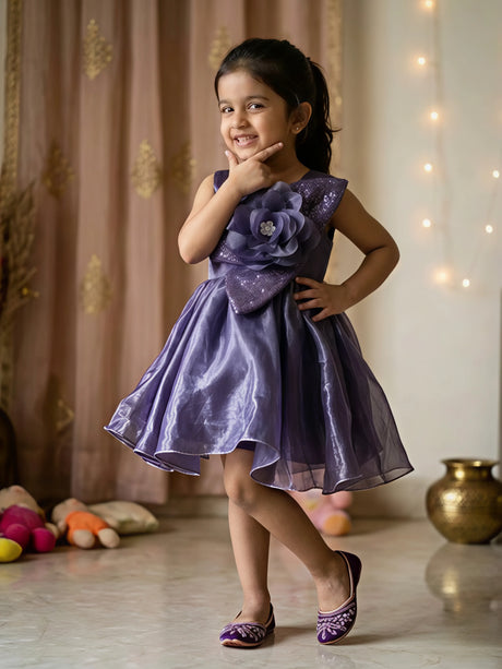 Purple Shimmer Baby Girl Party Dress with 3D Flower & Bow.