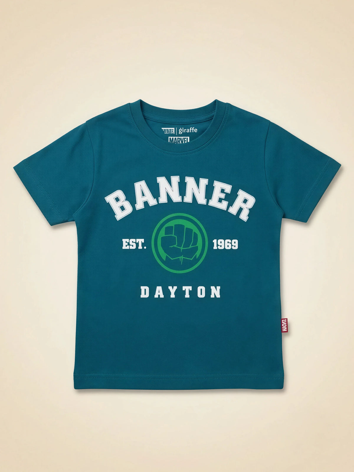 Boys Teal Green Graphic Print T-Shirt