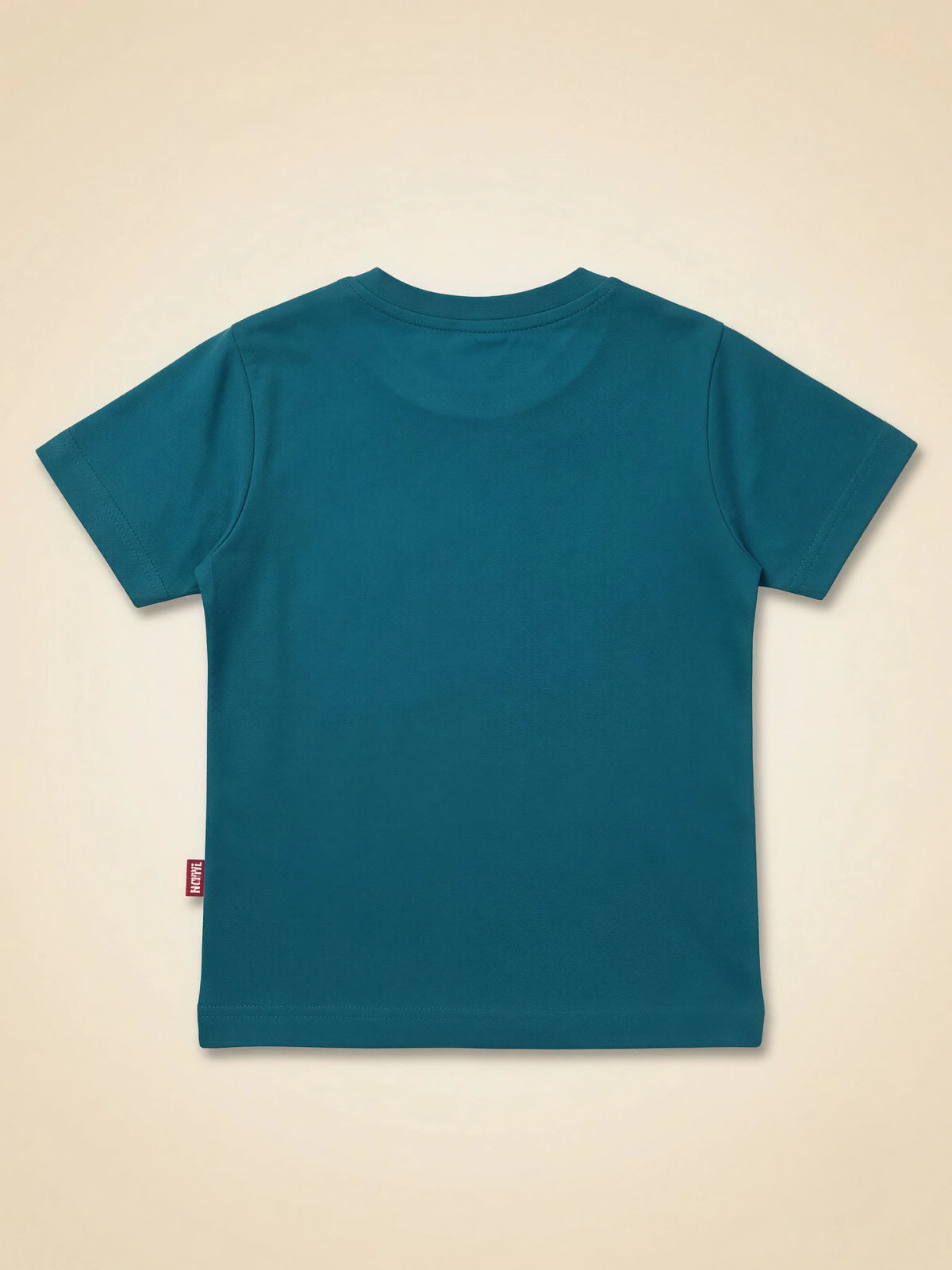 Boys Teal Green Graphic Print T-Shirt