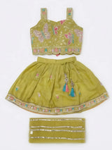 Green Butterfly Embroidered Lehenga Choli Set for Girls