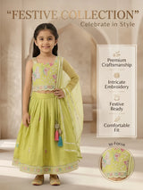 Green Butterfly Embroidered Lehenga Choli Set for Girls
