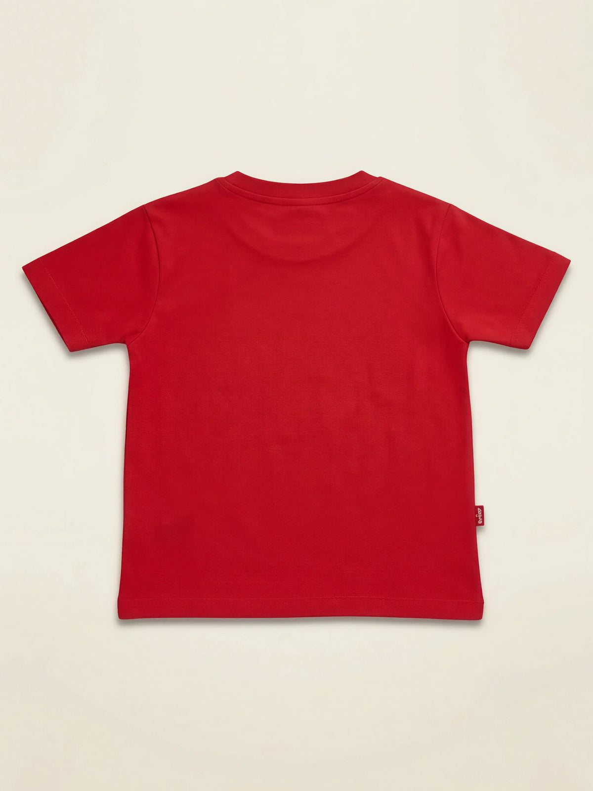Boys Red Thor Graphic Printed Casual T-Shirt