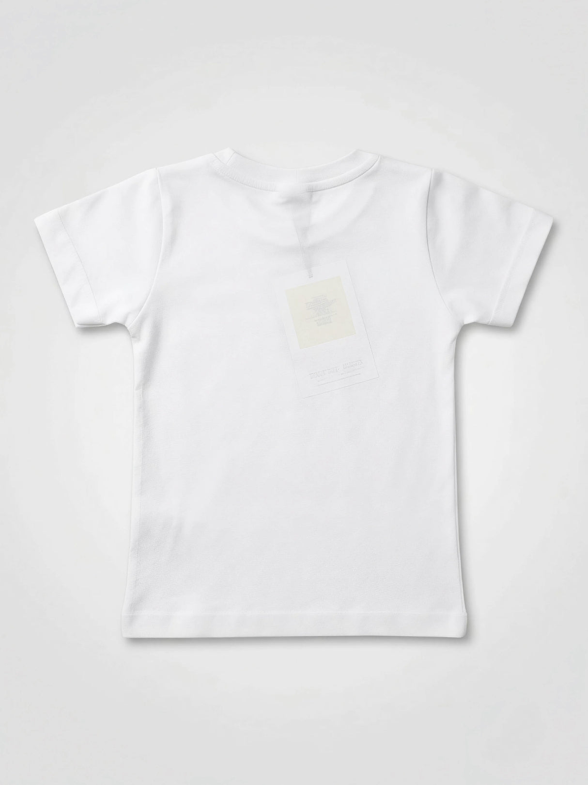 Boys White Independence Day T-Shirt – Tricolor India Map Print Graphic Tee