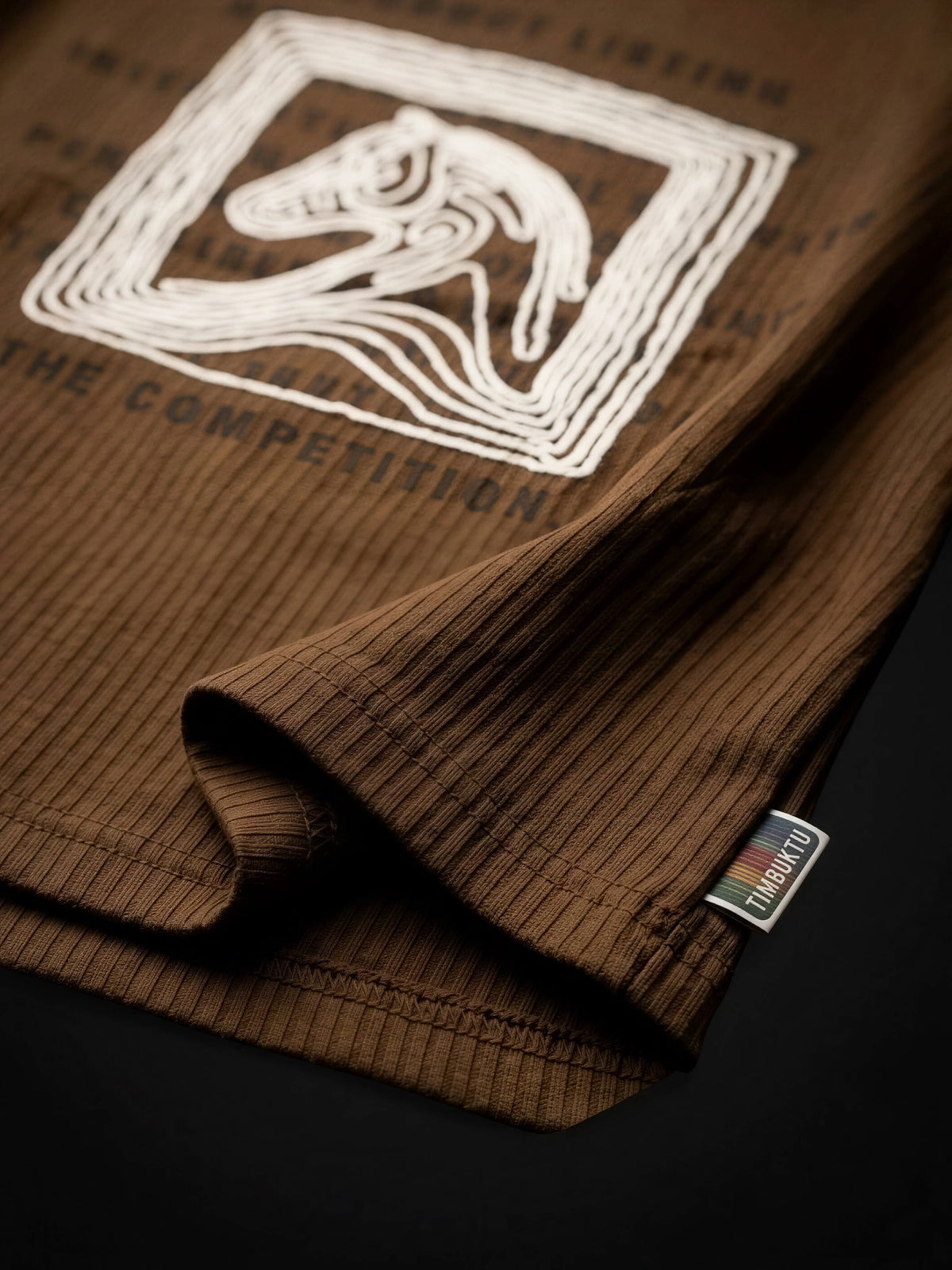 Boys Brown Graphic Printed Short Sleeve T-Shirt
