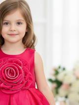 Vibrant Rani Pink Rosette Frock with Sparkle Detail.