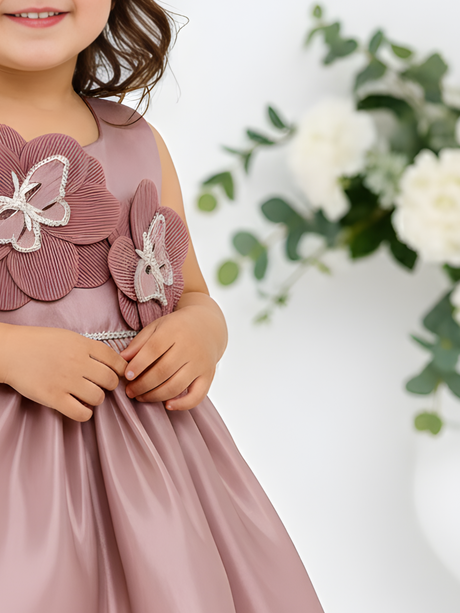 Elegant Dusty Rose Frock with 3D Butterfly Floral Appliqués