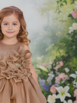 The Enchanted Shimmer Princess Gown (Rose Gold/Bronze).
