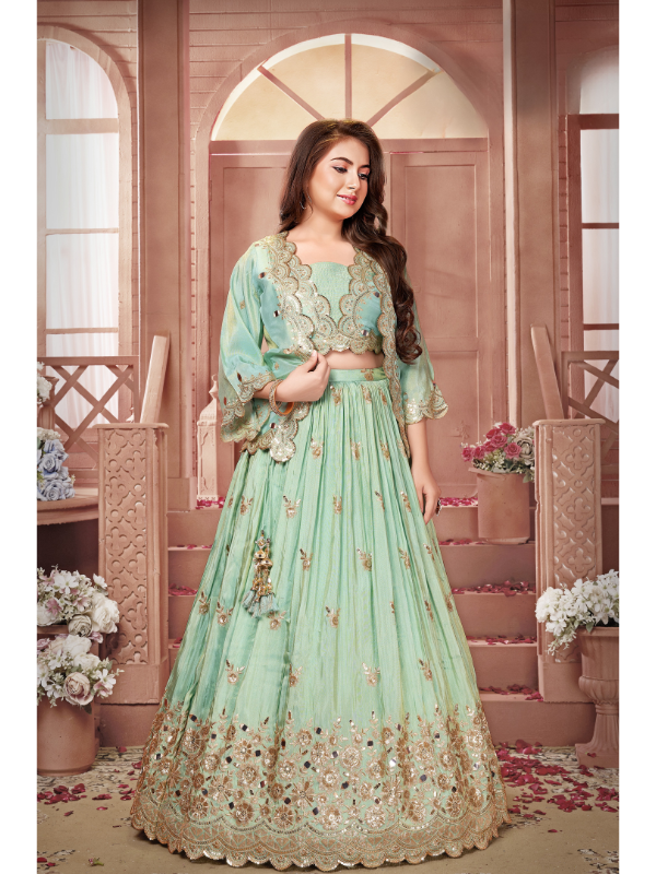 Girls Traditional Full Sleeves Long Choli - Blue