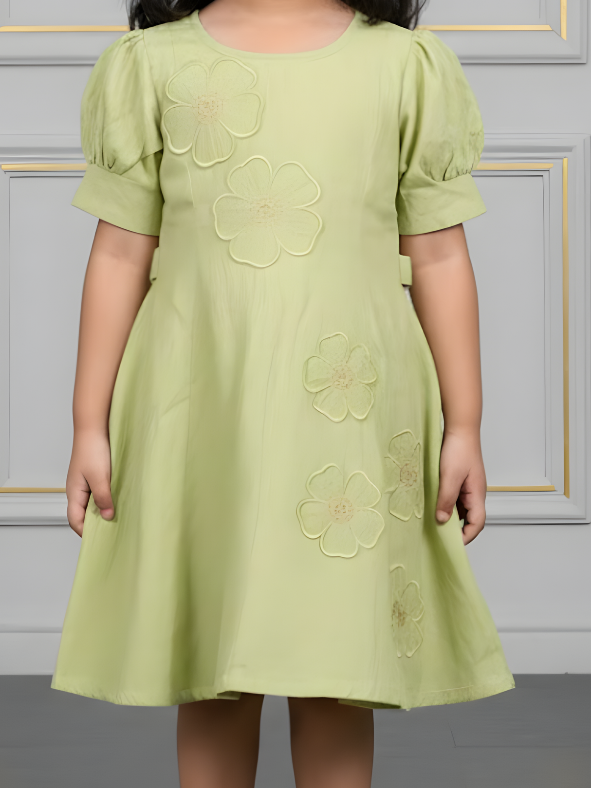 Girls Sage Green Embroidered Puff Sleeve A-Line Frock