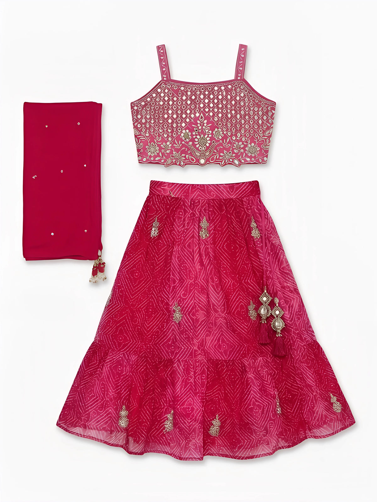 Girls Rani Pink Embroidered Lehenga Choli Set.