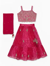 Girls Rani Pink Embroidered Lehenga Choli Set.