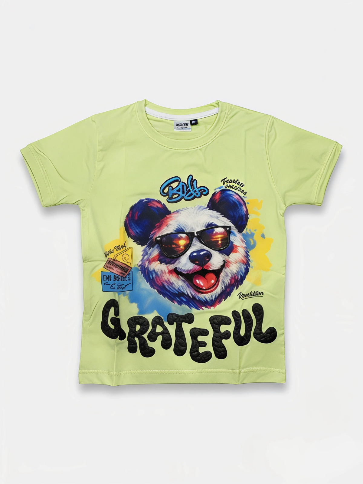 Light Green Panda Graphic Printed Kids T-Shirt