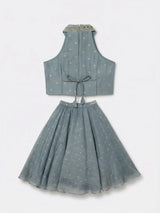 Grey Embellished Halter Neck Choli Set