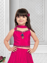 Girls Traditional Sleeves Less Long Choli - Rani