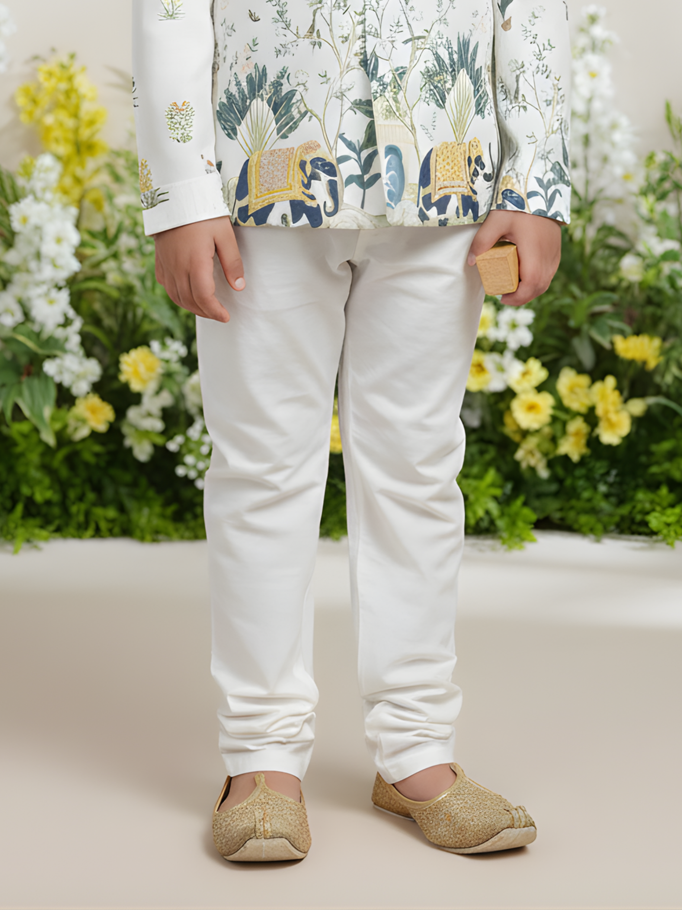 Boys' Cream Printed Bandhgala Jacket/Sherwani with Elephant Motif