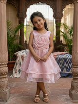 Girls' Pink Petal Rose Organza Party Frock