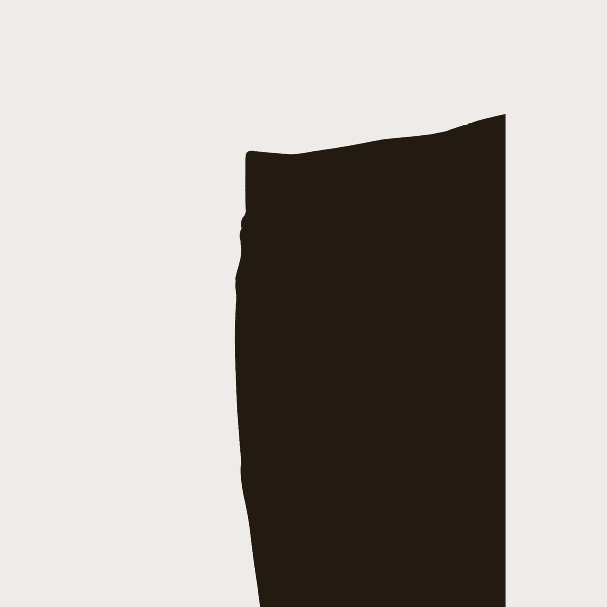 Girls Casual Plain Jeans Jeggings W/O Rib - Black
